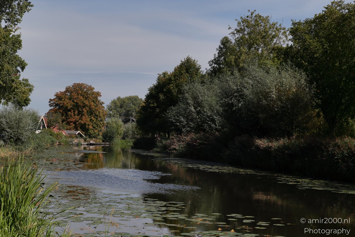 Gein between Driemond and Abcoude Nature Landscape Netherlands Nature Photo 2