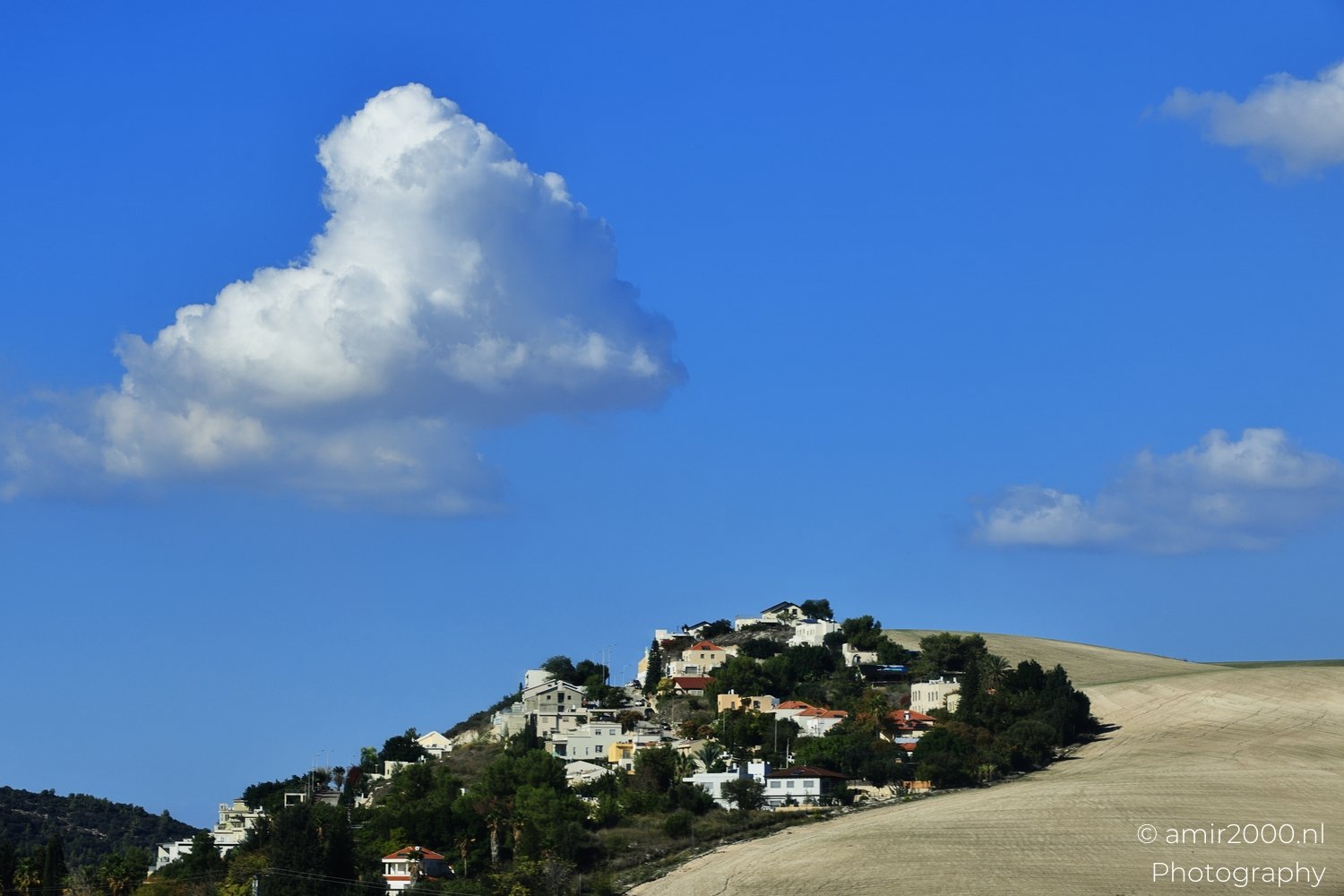 Houses and vegetation atop an elevated terrain in sunny weather.