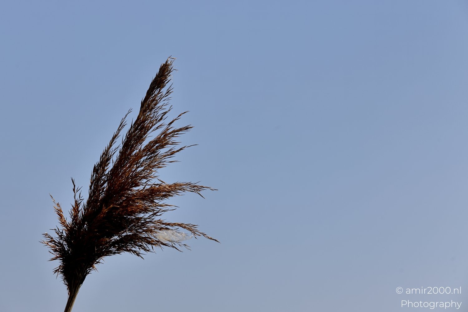 Spaarnwoude Nature Landscape Netherlands Nature Photo 4