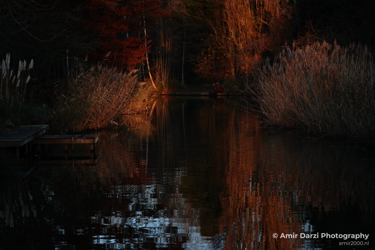 Dusk view of a serene pond reflecting orange sky and bare tree silhouettes beside autumn foliage.