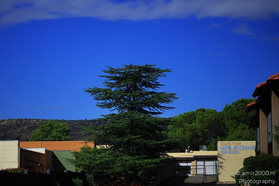 A View Of Trees A tranquil scene of trees and buildings under a clear blue sky in Sedona image from year 2025 #1