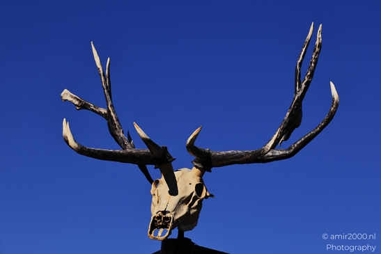 Antlered_Animal_Sculpture_Against_Blue_Sky_Colorado_USA_American_cities_Towns_Photography_Canon_EOS_R5_Mark_II_2025_001.JPG