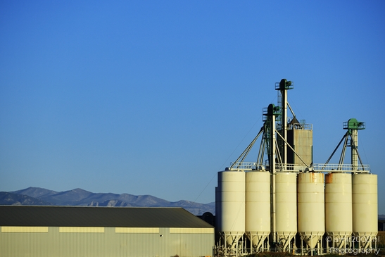 Large_Industrial_Grain_Silos_Denver_Colorado_USA_American_cities_Towns_Photography_Canon_EOS_R5_Mark_II_2025_001.JPG