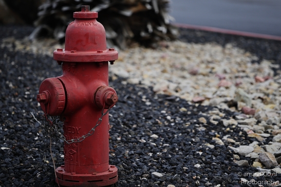 A prominent fire hydrant stands on a rocky terrain near the roadside. - image from year 2025 #001