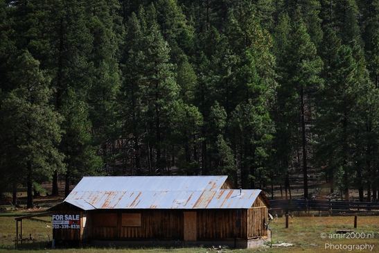 Small places on the go road trip in Arizona USA. A quaint wooden cabin nestled among pine trees - image from year 2025 #040