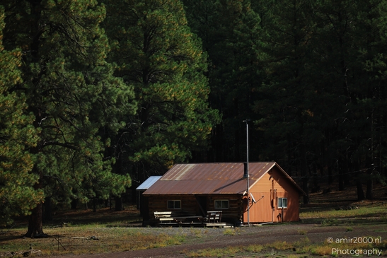 Small places on the go road trip in Arizona USA. A cozy cabin in the woods of Arizona, with a - image from year 2025 #041