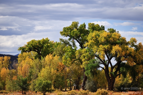 Autumnal landscape with vibrant foliage in Colorado USA. - image from year 2025 #002