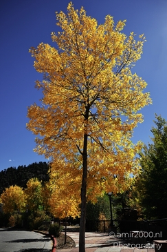 The_Charming_Of_Autumn_Season_Estes_Park_Colorado_USA_American_cities_Towns_Photography_Canon_EOS_R5_Mark_II_2025_007.JPG