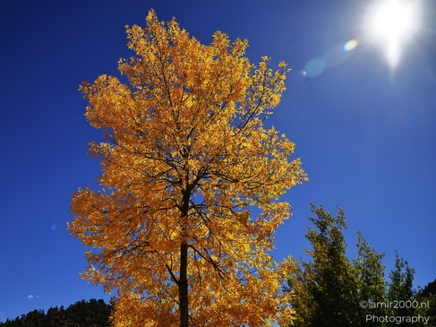The_Charming_Of_Autumn_Season_Estes_Park_Colorado_USA_American_cities_Towns_Photography_Canon_EOS_R5_Mark_II_2025_008.JPG
