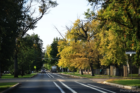 The_city_and_the_streets_Colorado_Springs_USA_American_cities_Towns_Photography_Canon_EOS_R5_Mark_II_2025_001.JPG