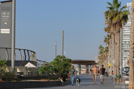 Beachgoers_Enjoying_A_Sunny_Day_At_The_Beach_Tel_Aviv_jaffa_Israel_People_Creative_Collection_Photography_Canon_EOS_R5_Mark_II_2025_005.JPG