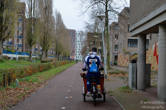 Bicyclist_With_Pets_In_Cart_On_City_Bike_Path_Amsterdam_Netherlands_People_Creative_Collection_Photography_Canon_EOS_R5_Mark_II_2025_001.JPG