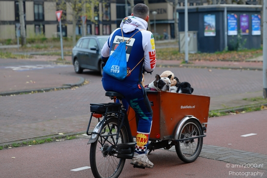 Bicyclist_With_Pets_In_Cart_On_City_Bike_Path_Amsterdam_Netherlands_People_Creative_Collection_Photography_Canon_EOS_R5_Mark_II_2025_002.JPG