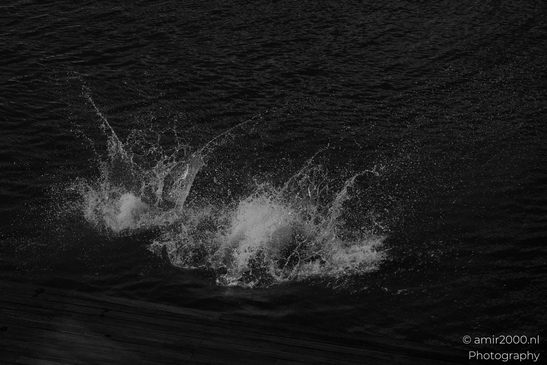 Black_and_white_photography_jumping_to_the_canal_water_Amsterdam_Netherlands_People_Creative_Collection_Photography_Canon_EOS_R5_Mark_II_2025_015.JPG
