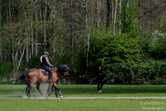 Horse_riding_in_Het_Amsterdamse_Bos_Amsterdam_Netherlands_People_Creative_Collection_Photography_Canon_EOS_R5_Mark_II_2025_002.JPG