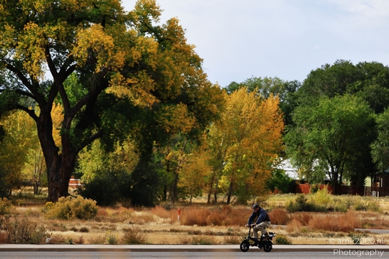 Man_Riding_A_Tricycle_On_The_Street_Colorado_USA_People_Creative_Collection_Photography_Canon_EOS_R5_Mark_II_2025_001.JPG