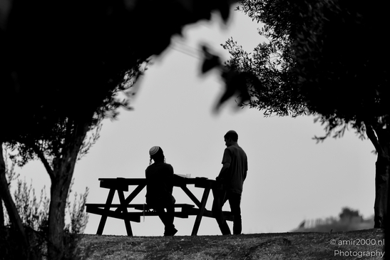 People_at_the_park_scenery_Nature_Landscape_Israel_People_Creative_Collection_Photography_Canon_EOS_R5_Mark_II_2025_005.JPG