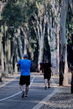 People_at_the_park_scenery_Nature_Landscape_Israel_People_Creative_Collection_Photography_Canon_EOS_R5_Mark_II_2025_007.JPG