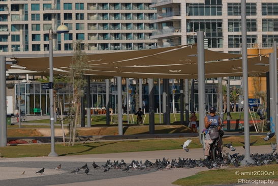 Pigeons_Gathering_Around_A_Man_On_His_Bicycle_Tel_Aviv_jaffa_Israel_People_Creative_Collection_Photography_Canon_EOS_R5_Mark_II_2025_001.JPG