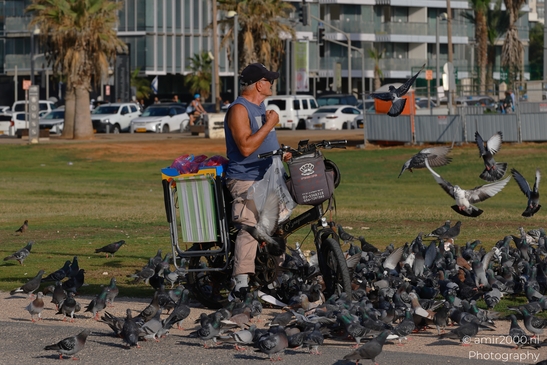 Pigeons_Gathering_Around_A_Man_On_His_Bicycle_Tel_Aviv_jaffa_Israel_People_Creative_Collection_Photography_Canon_EOS_R5_Mark_II_2025_003.JPG