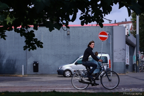 A bicyclist navigates through a tree-lined street in Amsterdam, Netherlands in Amsterdam - image from year 2025 #002