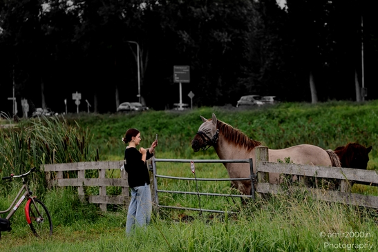 Woman_taking_phone_selfie_with_horse_at_pasture_gate_Amstelveen_Netherlands_People_Creative_Collection_Photography_Canon_EOS_R5_Mark_II_2025_001.JPG