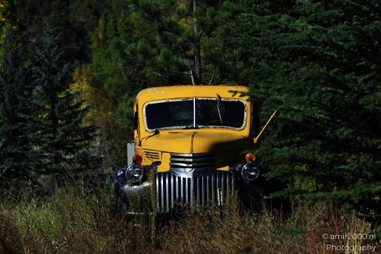 Old_Chevrolet_Art_Deco_Truck_In_Field_Colorado_Transportation_Collection_USA_Highway_and_Road_Scenes_Photography_Canon_EOS_R5_Mark_II_2025_001.JPG