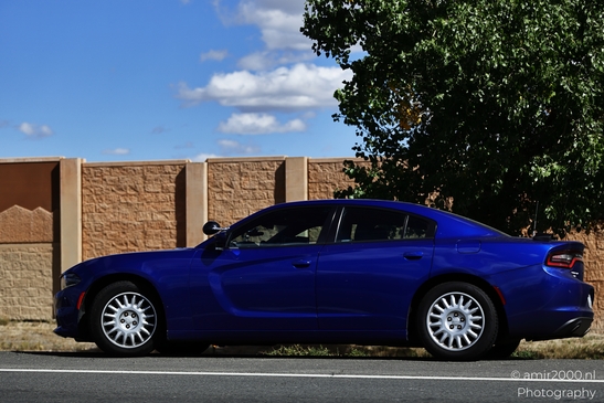 A sleek sedan parked by the side of a road near greenery and brick structure. - image from year 2025 #008