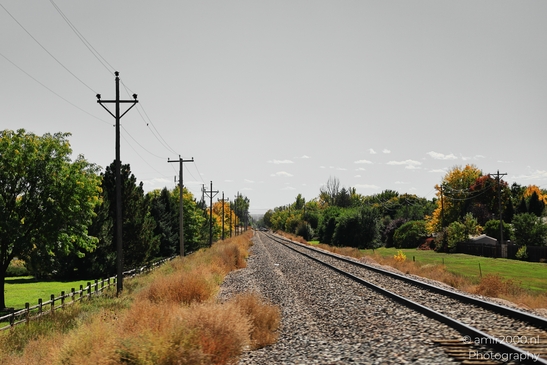 Rural_Train_Tracks_With_Grassy_Surroundings_Transportation_Collection_USA_Highway_and_Road_Scenes_Photography_Canon_EOS_R5_Mark_II_2025_001.JPG