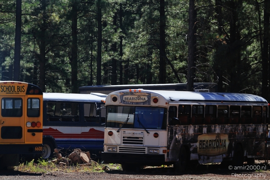 School Bus Parking Lot in Transportation Collection. A row of school buses parked in a lot. - image from year 2025 #001