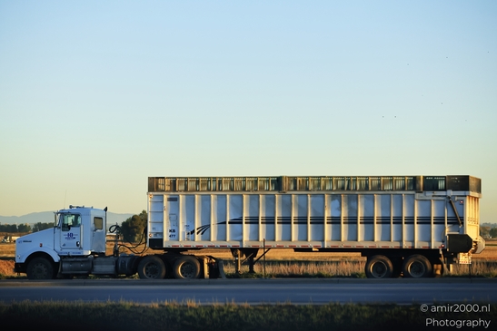 Semi truck on highway in Colorado A large semi-truck driving down a highway in Colorado in image from year 2025 #1