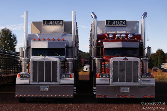 Trucks In Arizona in Transportation Collection. Two semi-trucks parked side by side on a dirt - image from year 2025 #005