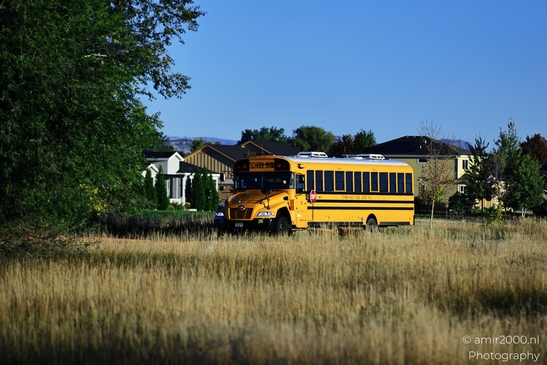 Yellow_School_Bus_Around_Denver_Colorado_Transportation_Collection_USA_Highway_and_Road_Scenes_Photography_Canon_EOS_R5_Mark_II_2025_001.JPG