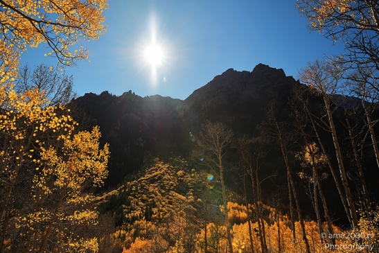 American_Aspen_Populus_Tremuloides_In_Autumn_Maroon_Bells_Aspen_Colorado_Western_USA_Nature_Photography_Canon_EOS_R5_Mark_II_2025_026.JPG