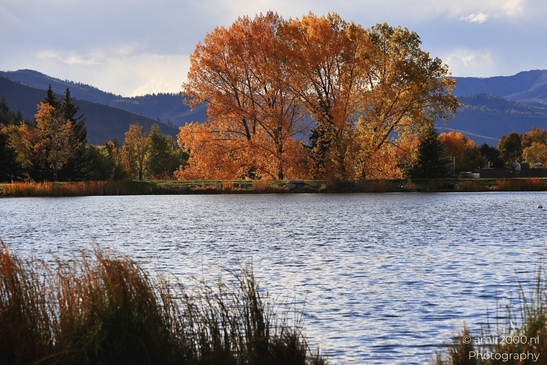 Vibrant fall foliage on an orange-leaved tree beside calm water reflecting mountains and sky. image from year 2025 #2