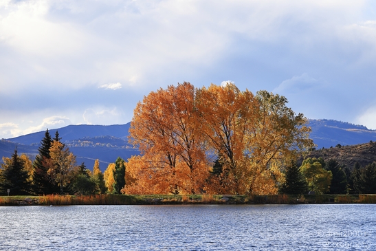 Vivid fall foliage on an orange-leaved tree beside peaceful waters near mountains and forests. image from year 2025 #3