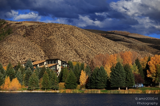 Vibrant fall foliage on evergreen and deciduous trees beside serene lake near mountainous backdrop. image from year 2025 #7