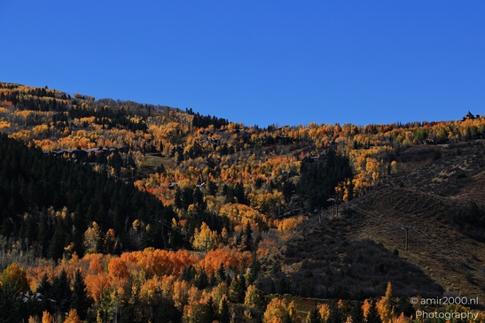Autumnal_Aspen_Grove_Around_Avon_Eagle_County_Colorado_Western_USA_Nature_Photography_Canon_EOS_R5_Mark_II_2025_004.JPG