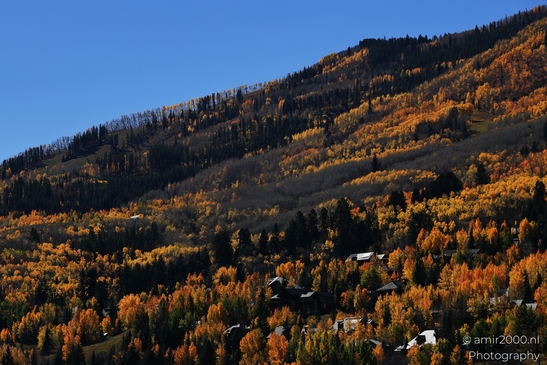 Autumnal_Aspen_Grove_Around_Avon_Eagle_County_Colorado_Western_USA_Nature_Photography_Canon_EOS_R5_Mark_II_2025_005.JPG