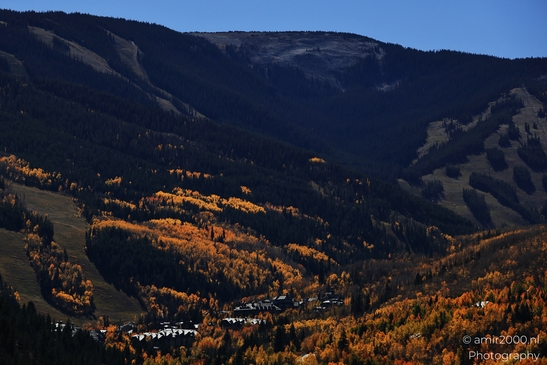 Autumnal_Aspen_Grove_Around_Avon_Eagle_County_Colorado_Western_USA_Nature_Photography_Canon_EOS_R5_Mark_II_2025_006.JPG