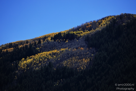 Autumnal_Aspen_Grove_Around_Avon_Eagle_County_Colorado_Western_USA_Nature_Photography_Canon_EOS_R5_Mark_II_2025_008.JPG