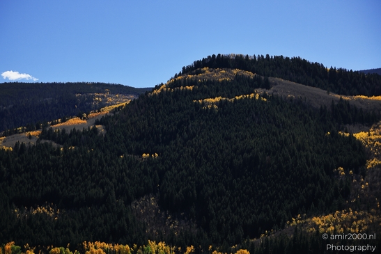 Autumnal_Aspen_Grove_Around_Avon_Eagle_County_Colorado_Western_USA_Nature_Photography_Canon_EOS_R5_Mark_II_2025_009.JPG