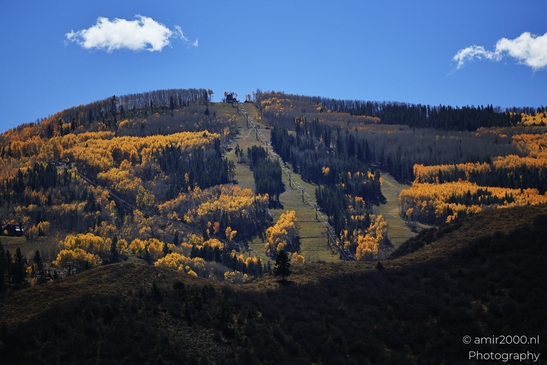 Autumnal_Aspen_Grove_Around_Avon_Eagle_County_Colorado_Western_USA_Nature_Photography_Canon_EOS_R5_Mark_II_2025_011.JPG