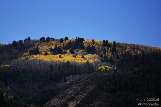 Autumnal_Aspen_Grove_Around_Avon_Eagle_County_Colorado_Western_USA_Nature_Photography_Canon_EOS_R5_Mark_II_2025_012.JPG