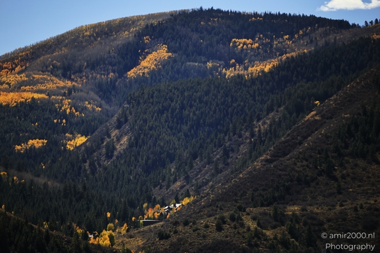 Autumnal_Aspen_Grove_Around_Avon_Eagle_County_Colorado_Western_USA_Nature_Photography_Canon_EOS_R5_Mark_II_2025_013.JPG