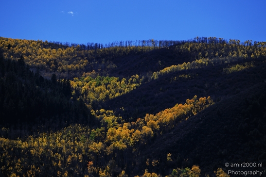 Autumnal_Aspen_Grove_Around_Avon_Eagle_County_Colorado_Western_USA_Nature_Photography_Canon_EOS_R5_Mark_II_2025_014.JPG