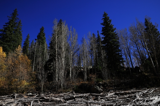 Autumnal_Hike_To_Crater_Lake_Maroon_Bells_Aspen_Colorado_Western_USA_Nature_Photography_Canon_EOS_R5_Mark_II_2025_009.JPG