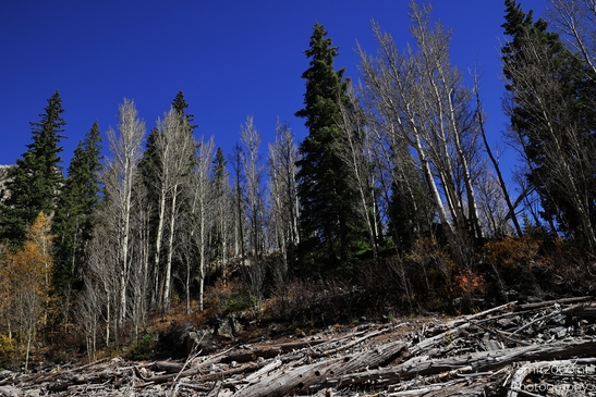 Autumnal_Hike_To_Crater_Lake_Maroon_Bells_Aspen_Colorado_Western_USA_Nature_Photography_Canon_EOS_R5_Mark_II_2025_019.JPG