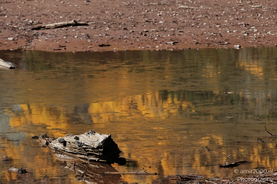 Autumnal_Hike_To_Crater_Lake_Maroon_Bells_Aspen_Colorado_Western_USA_Nature_Photography_Canon_EOS_R5_Mark_II_2025_023.JPG