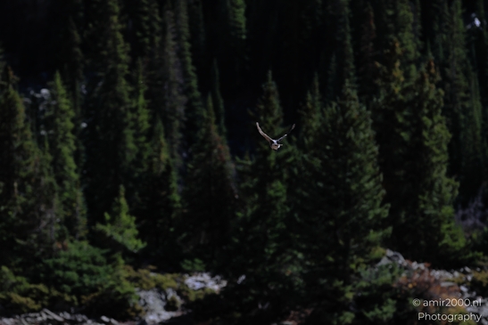 Autumnal_Hike_To_Crater_Lake_Maroon_Bells_Aspen_Colorado_Western_USA_Nature_Photography_Canon_EOS_R5_Mark_II_2025_037.JPG